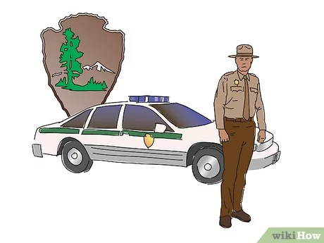 How Much Do Park Rangers Make? All The Interesting Information