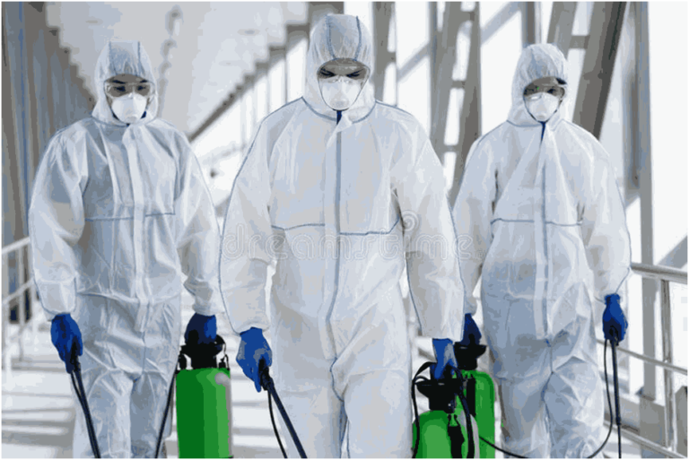 9 Most Important Factors When Choosing a Mold Removal Company