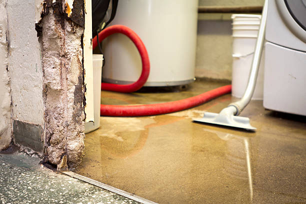 5 Ways To Detect A Water Leak In Your Basement