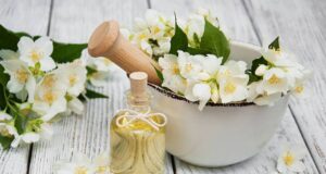 Night Blooming Jasmine Essential Oil: Here Are Interesting Facts About This Magical Oil