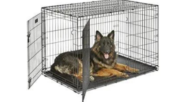Do German Shepherds Need a Crate