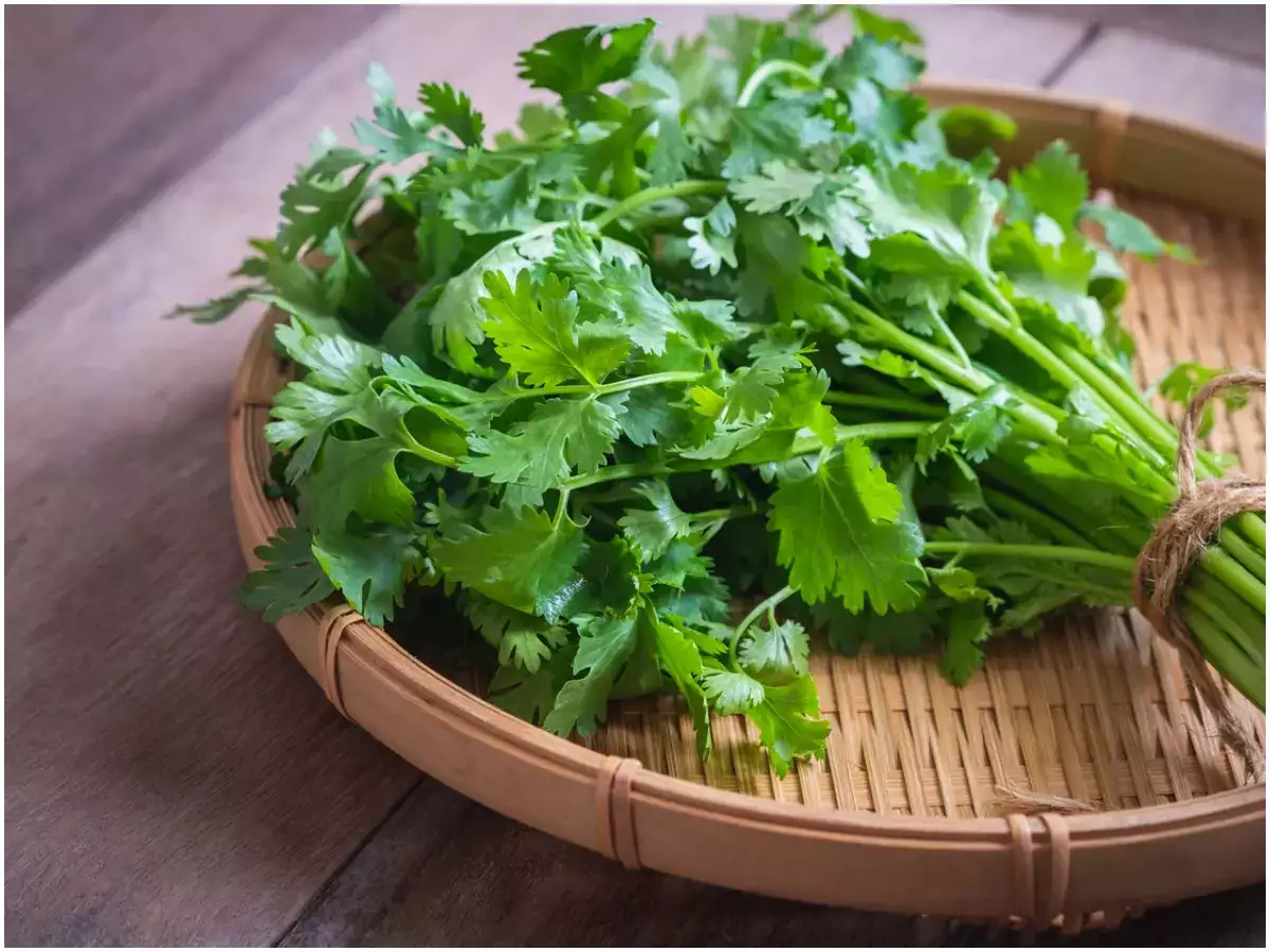 You Should Know These 11 Surprising Coriander Health Benefits