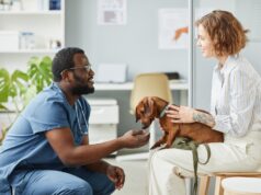 5 Ways Veterinary Hospitals Provide Peace of Mind for Pet Owners Veterinary Hospitals
