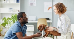 5 Ways Veterinary Hospitals Provide Peace of Mind for Pet Owners Veterinary Hospitals