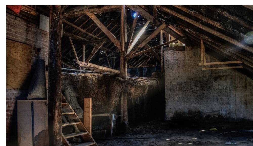 Attic Mold