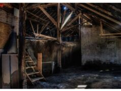 When Attic Mold Shows Up in a Denver Inspection Report: A Simple Playbook for Agents Attic Mold