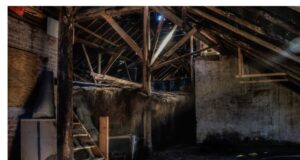 When Attic Mold Shows Up in a Denver Inspection Report: A Simple Playbook for Agents Attic Mold