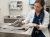 How Veterinary Clinics Evaluate Egg Binding Concerns In Pet Birds Egg Binding in Pet Birds